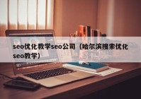 seo优化教学seo公司（哈尔滨搜索优化seo教学）