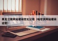 黑龙江做网站建设优化公司（哈尔滨网站建设运营）